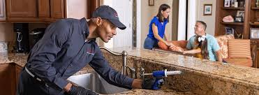 Reliable Warm Springs, CA Pest Control Solutions